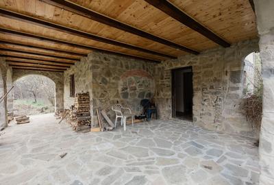 Proprietate unica in Tarcau - 30.283 mp intravilan, casa P+M - 8