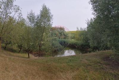 Teren agricol intravilan de 300000 mp, în Stroiești - 4