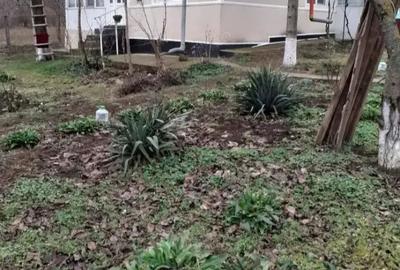 Casă cu 4 camere cu Teren 1122 Mp în Chetrești - 10