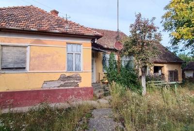 🏡  Casă de Poveste în Șiria, Arad- Locație Rară - 5