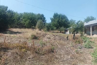 Casă cu Teren 25000 Mp în Blăgești - 4