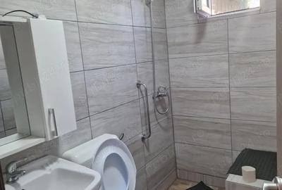 Casa de vanzare si teren, Jud.Braila, Comuna VIZIRU - 3