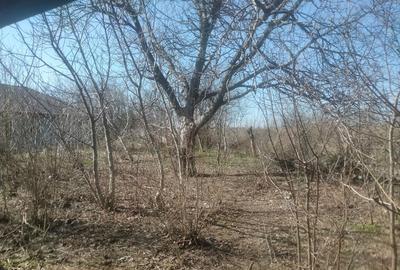 Casă cu 3 camere în Ilfoveni - 3