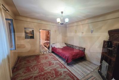 Gospodarie Completa, 130 mp, 1.300 mp Teren, zona Doice?t - 9