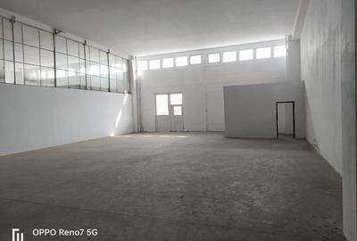Spatiu industrial/comercial de inchiriat - 6