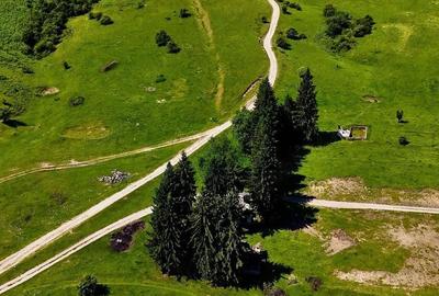 Teren de 6000 mp, în Câmp - 2