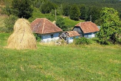 Reco Cabana din lemn in Bulz - 2