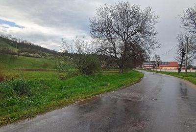 Teren de 5272 mp, în General Berthelot - 2