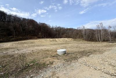 Spațiu comercial, în Păușești - 5