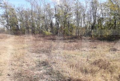 Teren 7240mp, zona Prelungirea Panduri - 5