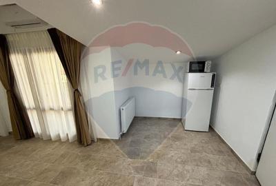 Apartament 2 camere cu terasa Gara de nord - 10