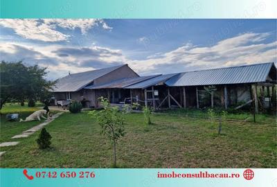 Un colt de rai pe-un picior de plai! CE1210 - 10