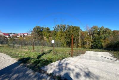 Teren 969 mp intravilan la 10km de Pitesti, langa padure. - 3