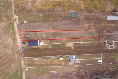 Teren Construcții intravilan de 1293 mp, în Cornetu - 12