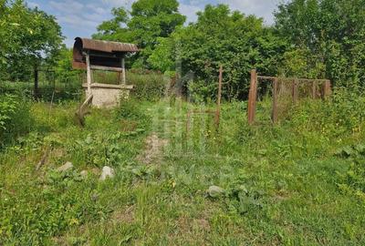 De vanzare Teren versatil 3.919 mp in localitatea Armeni. Sibiu - 13