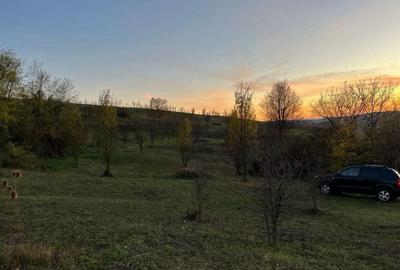 Teren de 19500 mp, în Aluniș - 4