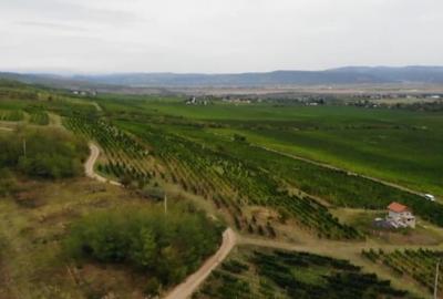 Teren extravilan de 230000 mp, în Vernești - 7