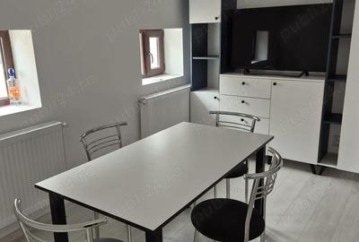 Apartament cu 2 camere semidecomandat în Ultracentral - 10