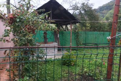 Casă cu 4 camere cu Teren 2500 Mp în Ilovăț - 8