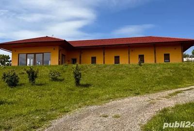 Casă cu 3 camere cu Teren 2400 Mp în Vulcan - 9