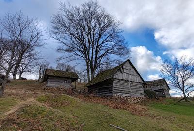 19,5 Ha  TEREN PEISAJ PANORAMIC SPECTACULOS zona turistica montana BULZ -  BIHOR - 39