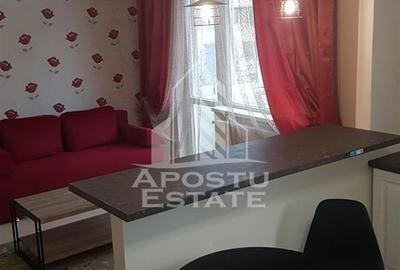 Apartament cu 2 camere, mobilat în P-ța Victoriei - 3