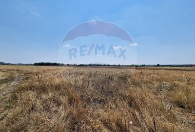 Teren Podari / Fabrica de mobila / 4600 mp / Intravilan - 1