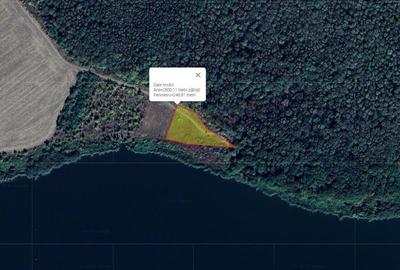 Teren extravilan 2.500 mp Gruiu - Lacul Caldarusani - 1