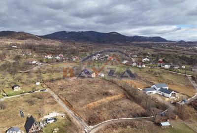 Spațiu comercial, în Șișești