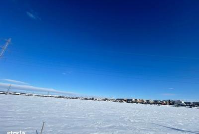 Spațiu comercial, în Viișoara - 5