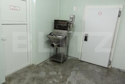 Cladire de vanzare (fosta fabrica de lactate) Cladire de vanzare (fosta fabrica de lactate) - 12