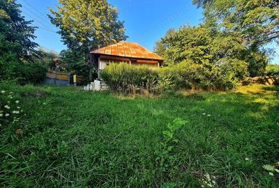 Teren de 3250 mp, în Păușești - 2