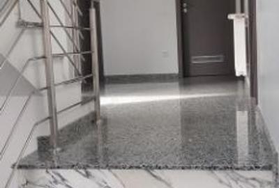 Inchiriez spatii de birouri Premium, nou, ultracentral, Blv. Victoriei nr. 15 ! - 3
