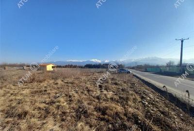 Teren intravilan 2000 mp de pe Valea Avrigului - 3