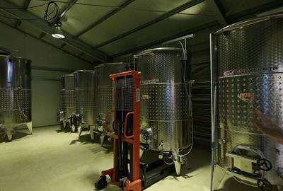 Teren de 35000 mp, în Cotnari - 7