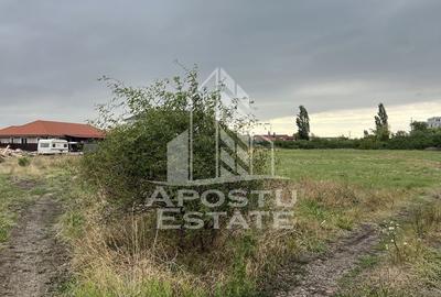 Teren Construcții intravilan de 707 mp, în Săcălaz - 1