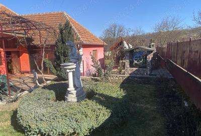 Casă cu 3 camere cu Teren 1100 Mp în Sarmizegetusa - 9