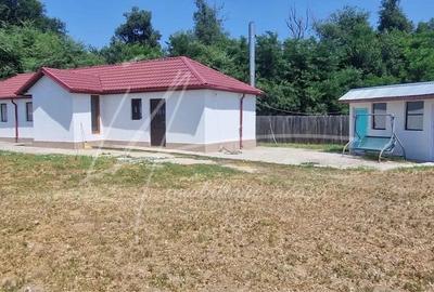 Spațiu comercial, în Dridu - 3