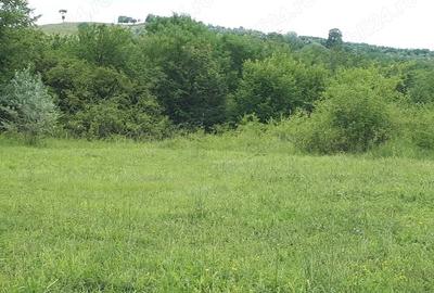 Teren de 3600 mp, în Valea Călugărească - 2