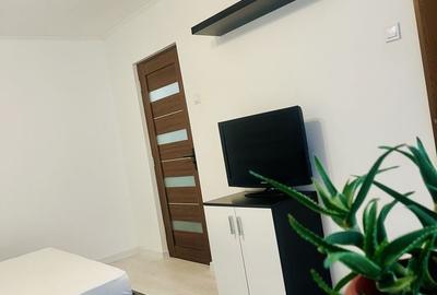 Garsonieră în Cornitoiu - 4