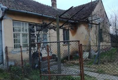 RECO Casa in Ciumeghiu la 18km de Salonta - 4