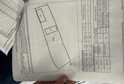 Casă cu 3 camere cu Teren 1400 Mp în Lopadea Veche - 8