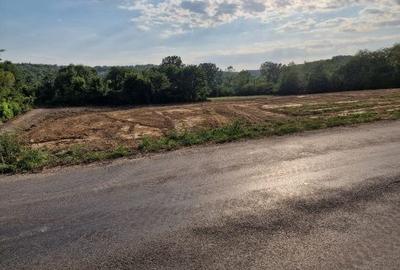 Teren de 2000 mp, în Exterior Vest - 1