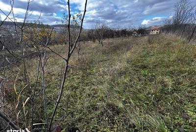 Teren de 1250 mp, în Chinteni