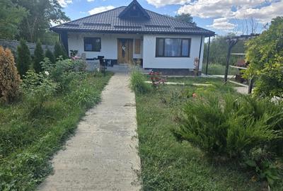 Casă cu 3 camere cu Teren 2450 Mp în Izvoarele - 2