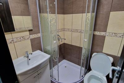 Garsonieră în Valea Lupului - 2