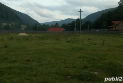 Teren de 2000 mp, în Rucăr - 1