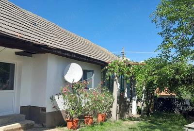 Casă cu Teren 4926 Mp în Schela