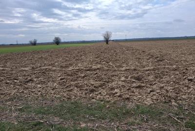 Teren de 5600 mp, în Leordeni - 7