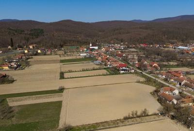 Teren Construcții intravilan de 2970 mp, în Odvoș - 3